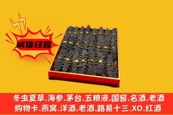 特克斯县回收海参